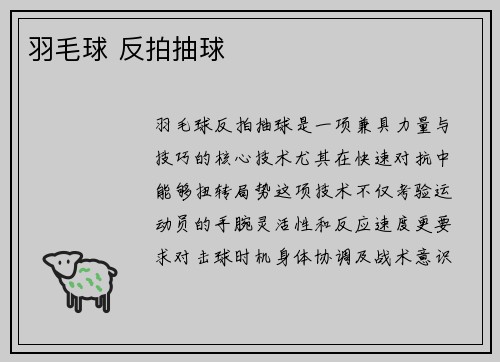羽毛球 反拍抽球