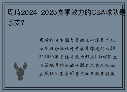 周琦2024-2025赛季效力的CBA球队是哪支？